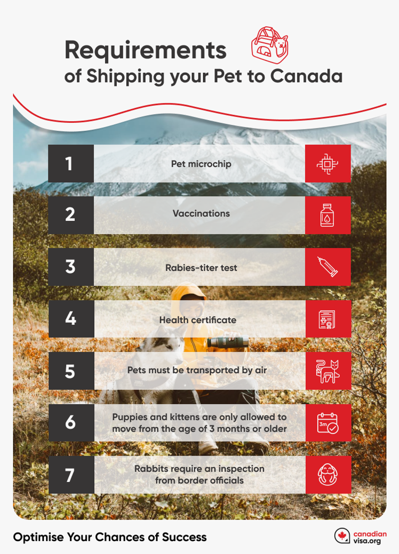 Moving Your Pets to Canada